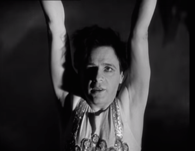 mr.trapeze copy1.png